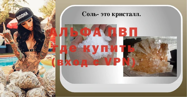 СК Балахна