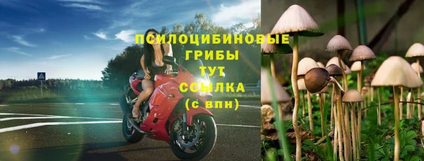 СК Балахна