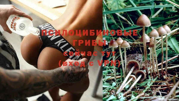 COCAINE Баксан